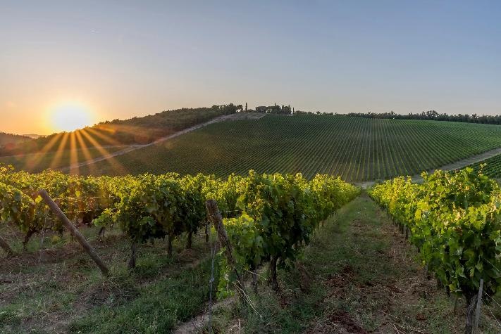 Chianti countryside