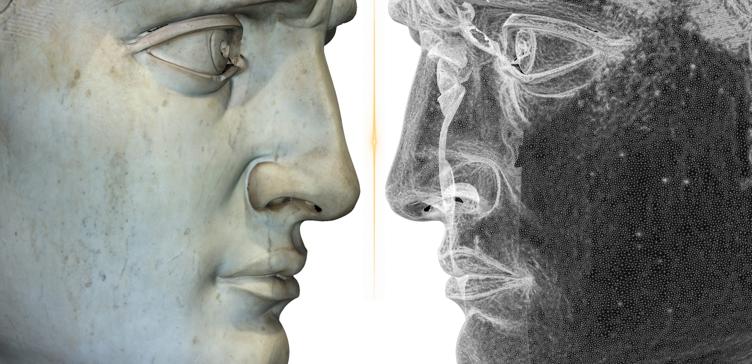 Michelangelo's David